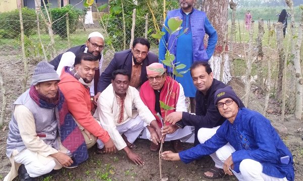 চিতলমারীর শেরে বাংলা ডিগ্রি কলেজ ক্যাম্পাসে পলাশ ফুলের চারা রোপন