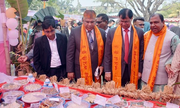 খুলনা সরকারি মহিলা কলেজে পিঠা উৎসব উদ্বোধন