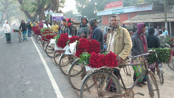 যশোরের গদখালীতে ৭০ কোটি টাকার ফুল বিক্রি