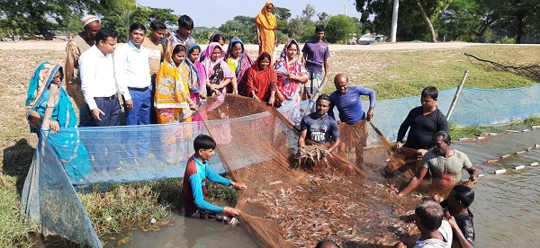 মাছ ধান সবজিতে স্বাবলম্বী ডুমুরিয়ার মানুষ