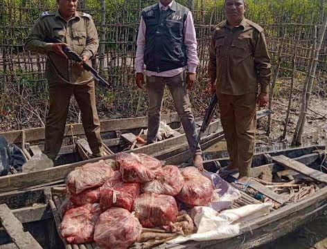 কয়রায় ১৫০ কেজি হরিণের মাংস সহ দুই নৌকা আটক