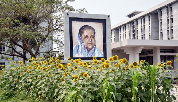 খুবির বঙ্গমাতা হলে মুগ্ধতা ছড়াচ্ছে সূর্যমুখীর হাসি