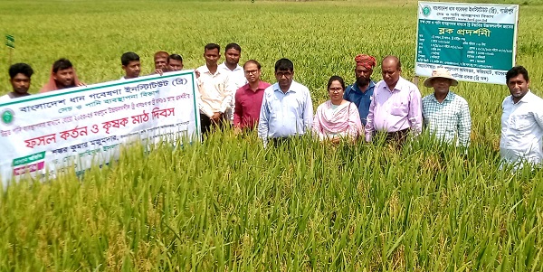 ফকিরহাটে ফসল কর্তন ও কৃষক মাঠ দিবস অনুষ্ঠিত