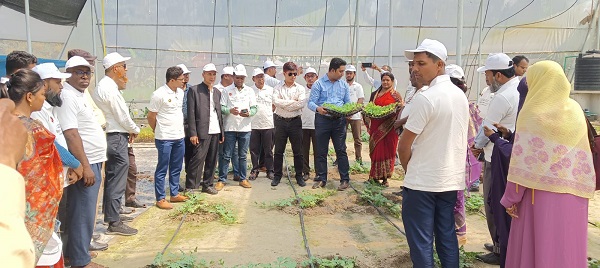 খুলনায় কৃষিতে নতুন চমক পলিনেট হাউজ