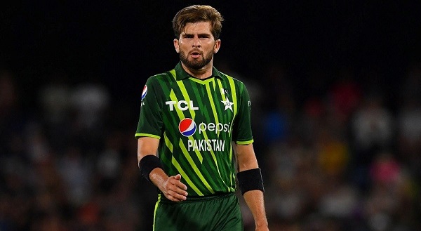 গালি দেওয়া আফগান সমর্থককে মাঠ থেকেই বের করে দিলেন আফ্রিদি