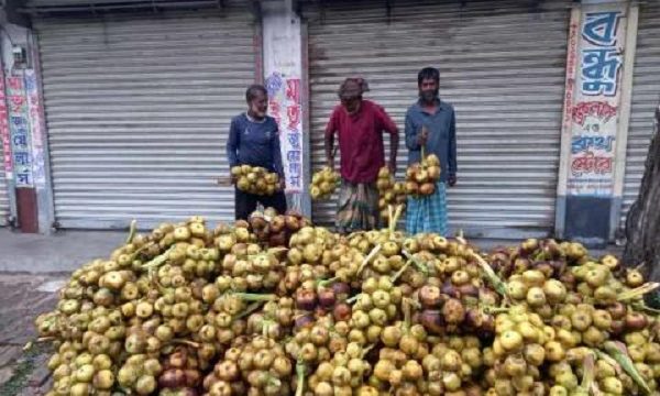 পাইকগাছায় গরমে তাল শাঁসের চাহিদা বেড়েছে;রপ্তানী হচ্ছে রাজধানীসহ দেশের বিভিন্ন স্থানে
