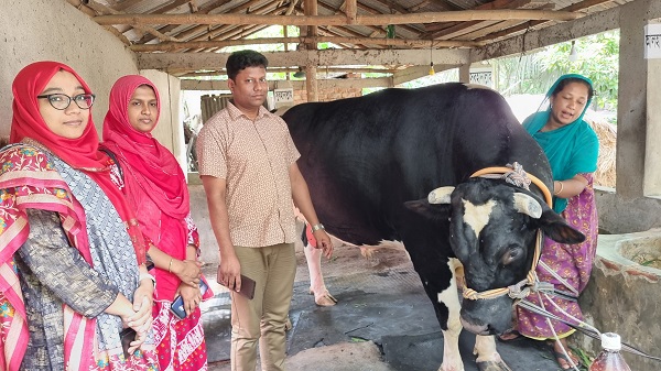 ৪০ মণের নুন্টু খায় চা-বিস্কুট ও ফলমূল