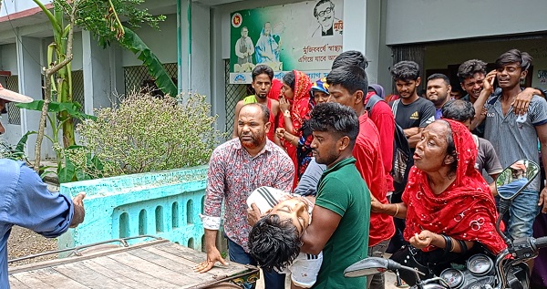 তালায় জাম গাছ থেকে পড়ে এক কলেজ ছাত্রের মৃত্যু