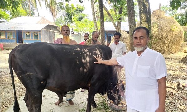 চিতলমারীতে ষষ্ঠ বারের মত শেখ পরিবারের নামে কোরবানি দেবেন শেখ নিজাম উদ্দীন