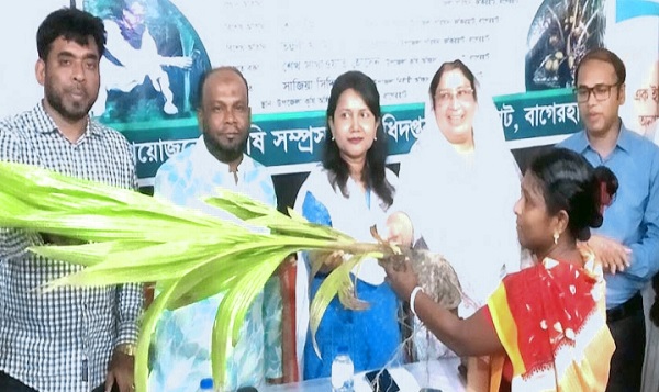 ফকিরহাটে বিনামূল্যে নারিকেল চারা পেল ১৪০০ কৃষক