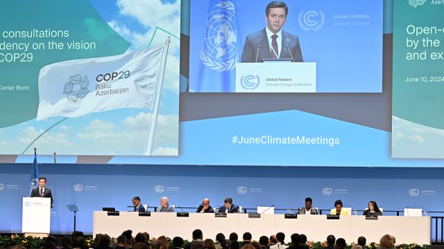 COP29 Lead Negotiator Outlines Vision and Strategy for Success for Climate Diplomacy