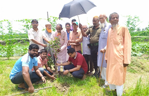 চিতলমারীর বধ্যভূমিতে বীর মুক্তিযোদ্ধাদের ফুলের চারা রোপন