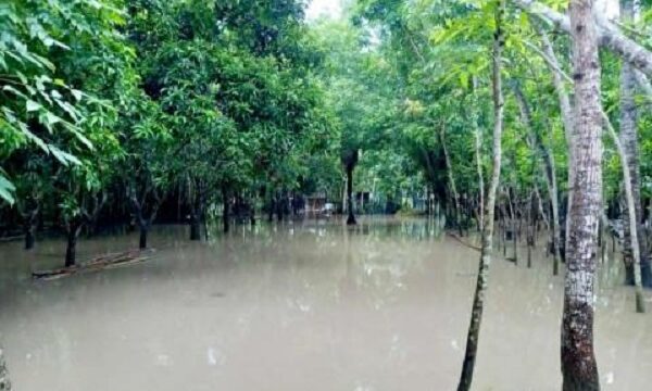 পাইকগাছায় টানা ভারি বৃষ্টিতে জনদুর্ভোগ চরমে