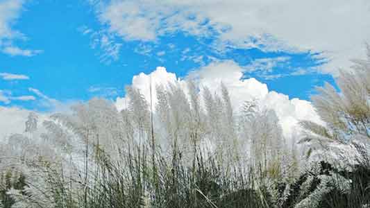 শরতের প্রথম দিন আজ