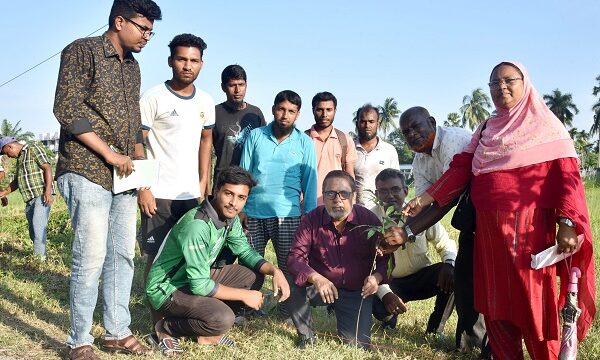 নির্মল ও প্রাকৃতিক পরিবেশ রক্ষায় খুবিতে বৃক্ষরোপণ কর্মসূচি পালিত