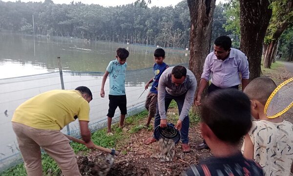 ডুমুরিয়ায় চিংড়ি মাছে জেলি পুশ করায় ১০ হাজার টাকা জরিমানা মাছ বিনষ্ট