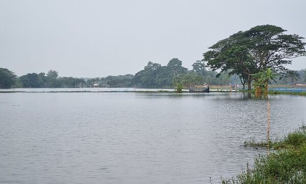 ডুমুরিয়ায় কয়েক দফা টানা বৃষ্টিতে তলিয়ে গেছে উপজেলার মাছের ঘের