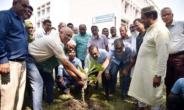 প্রাকৃতিক পরিবেশ রক্ষায় বৃক্ষরোপণের কোনো বিকল্প নেই : নবনিযুক্ত উপাচার্য