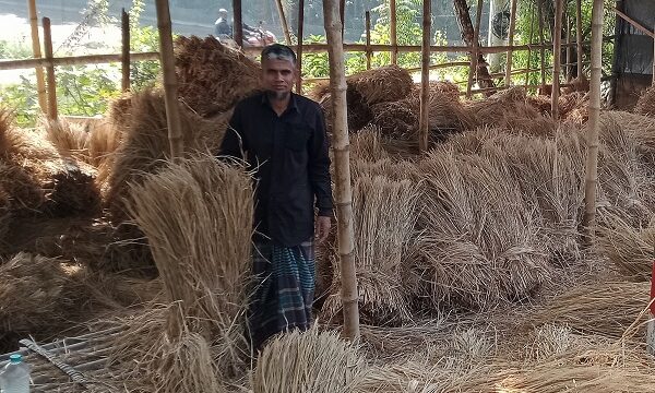 বিছেলীতেই উঠছে খরচ ঘরে ওঠা আমনের সবটাই লাভ