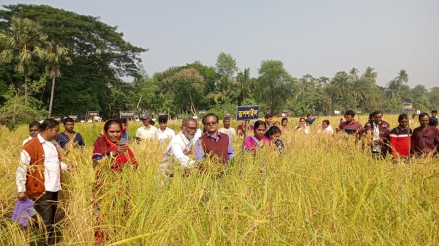 বটিয়াঘাটায় লোকজ’র কৃষক মাঠ দিবস পালন