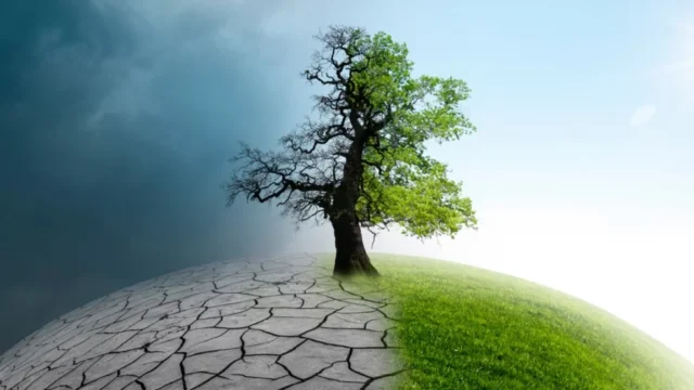 ২০২৪ সালে জলবায়ুর কোন রেকর্ডগুলো ভেঙে গেল?