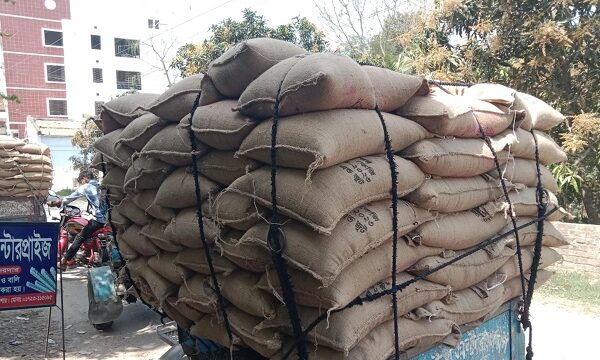 যশোরের শার্শায় বিএনপি নেতার বিরুদ্ধে ১৫৫ বস্তা সরকারি চাল লুটের অভিযোগ