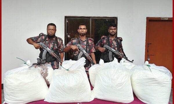 বেনাপোলে সাড়ে ৬০ লক্ষ টাকার ভায়াগ্রা পাউডার জব্দ