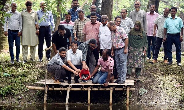 খুবির লেকে মাছের পোনা অবমুক্তকরণ