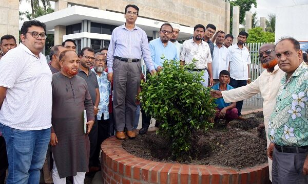 জুলাই শহিদদের স্মরণে খুবিতে বৃক্ষরোপণ