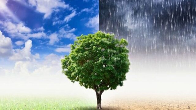 জলবায়ু পরিবর্তন: ২০২৫ সালে বাংলাদেশে ক্রমবর্ধমান ঝুঁকি ও প্রতিরোধের চ্যালেঞ্জ