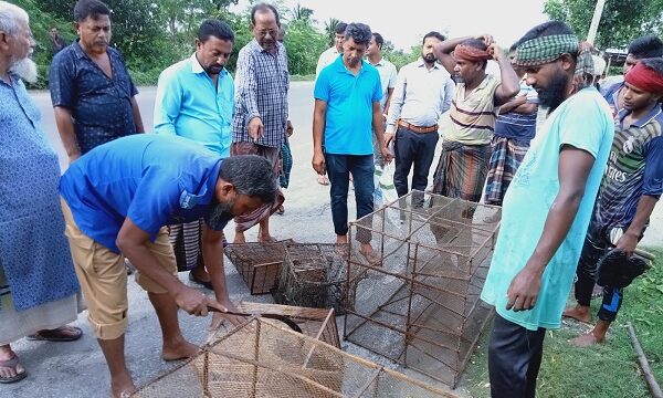 তালায় খাল দখল ও নিষিদ্ধ জালের বিরুদ্ধে প্রশাসনের অভিযান