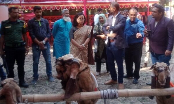 ফকিরহাটে জাতীয় প্রাণিসম্পদ সপ্তাহ ও প্রদর্শনী মেলা