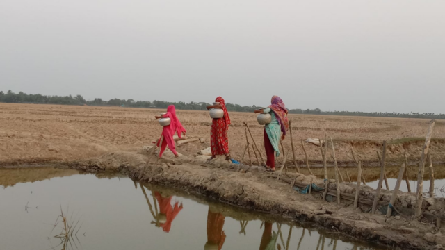 উপকূলে তীব্র পানিসংকট: পুকুরই ভরসা, শহরেও বাড়ছে দুর্ভোগ