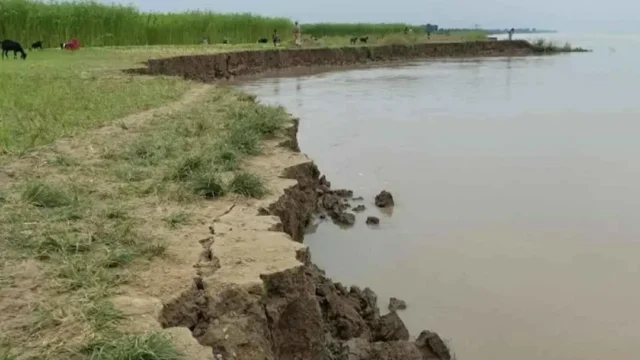 গোয়ালন্দে অসময়ে পদ্মার ভাঙনে বিলীন হচ্ছে কৃষি জমি-বসতভিটা