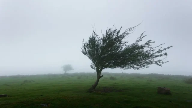 বরিশাল-পটুয়াখালিসহ ৬ অঞ্চলে দমকা হাওয়া-বজ্রবৃষ্টির সতর্কতা