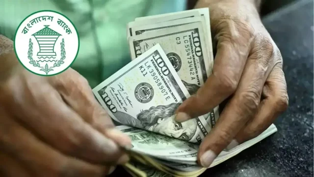 যুদ্ধেও টাকা অবমূল্যায়নের চাপ নেই, দেশে স্থিতিশীল ডলারের বাজার