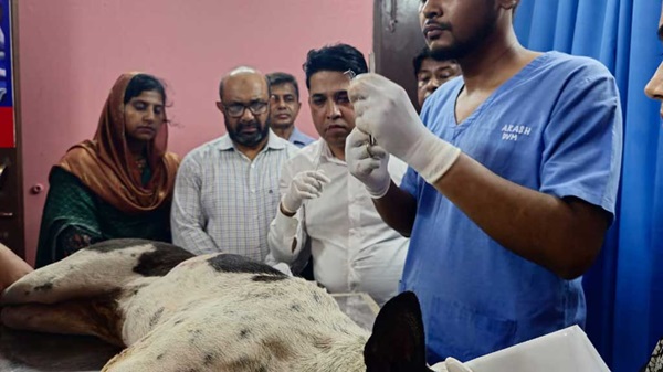 ঘেউ ঘেউ করায় কুকুরকে ছুরিকাঘাত, যুবক গ্রেপ্তার