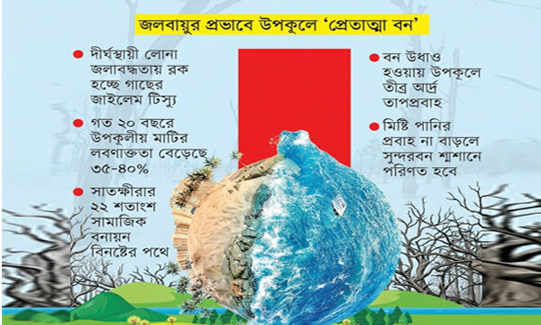 জলবায়ুর মরণফাঁদে উপকূল: কঙ্কালসার সুন্দরবন