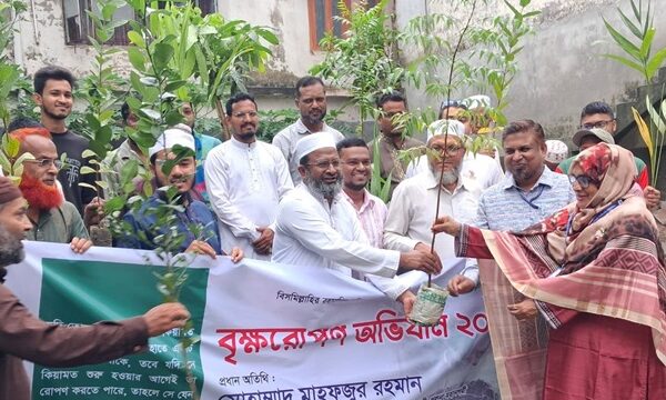 নজরুল মাধ্যমিক বালিকা বিদ্যালয়ে জামায়াতের বৃক্ষরোপণ অভিযান ও চারা বিতরণ