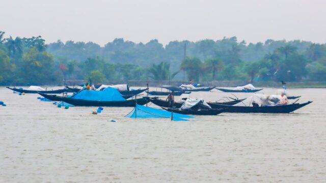 জলবায়ু পরিবর্তনের কষাঘাতে সুন্দরবন উপকূল