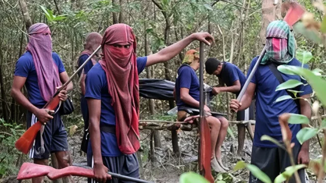জলবায়ু পরিবর্তন ও ফুলের সংকটে বিপর্যস্ত মৌয়ালরা; বাড়ছে ভেজাল মধুর দৌরাত্ম্য