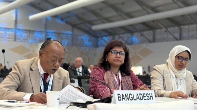 Mintoo calls for involving local communities in rangeland protection