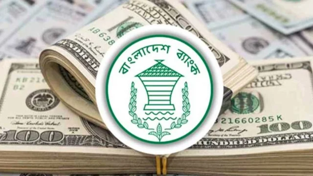 আগস্টের ২৯ দিনে দেশে রেমিট্যান্স এসেছে ২৬৬ কোটি ৯০ লাখ ডলার