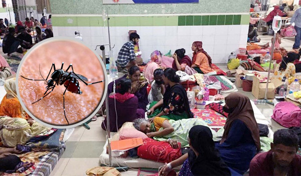 খুলনায় ২৪ ঘণ্টায় ডেঙ্গুতে ৬ জনের মৃত্যু, নতুন আক্রান্ত ২৫০